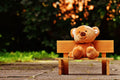 Cute Teddy Bear Soft Toy Huggable - 36 Inch
